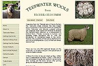 Pure Teeswater lustre Wool Washed and Unwashed Fleeces, Knitting Wool.